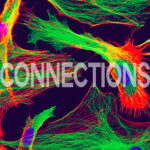 CONNECTIONS: A Fusion of Art and Music