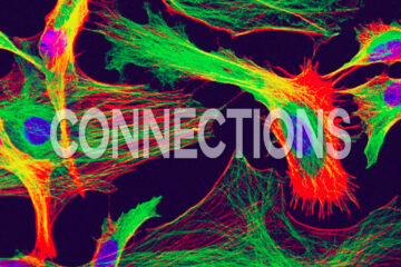 CONNECTIONS – A Fusion of Art and Music