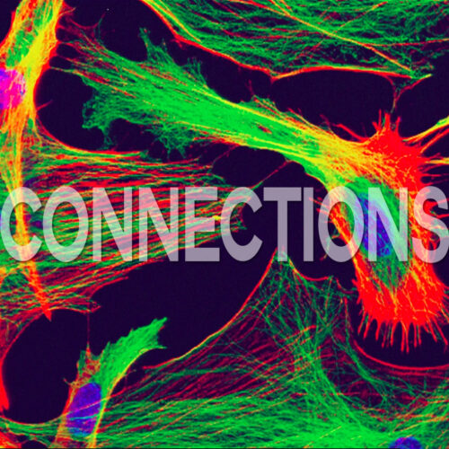 CONNECTIONS – A Fusion of Art and Music